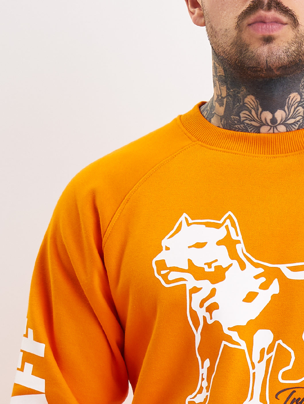 Amstaff Logo 2.0 Sweatshirt Orange