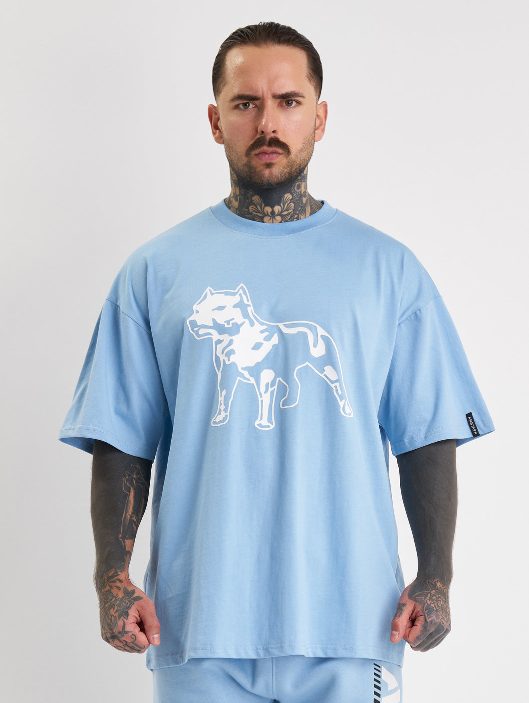 Amstaff Logo 2.0 T-Shirt Horizon Blue
