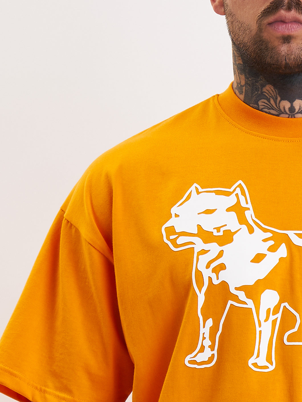 Amstaff Logo 2.0 T-Shirt Orange