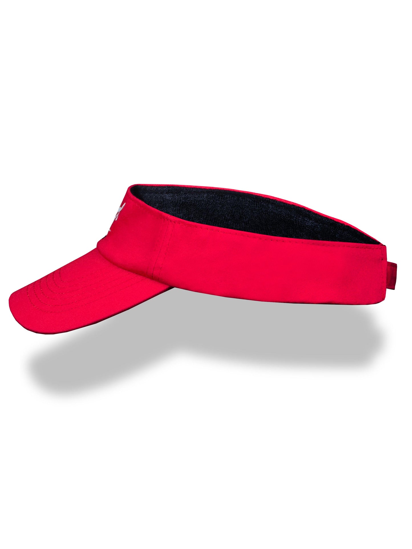 Blood In Blood Out Life´s a Risk Visor