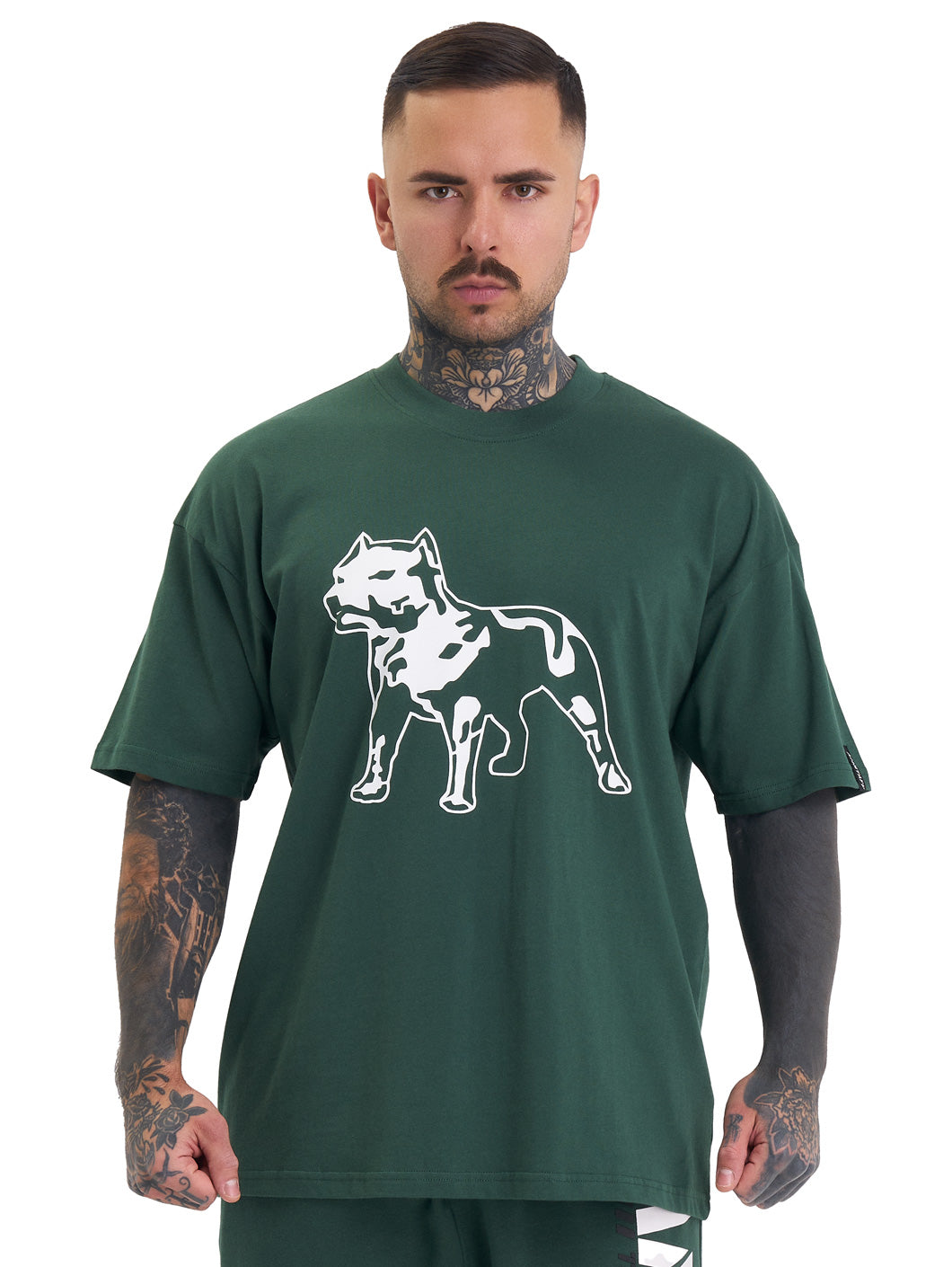 Amstaff Logo 2.0 T-Shirt Green