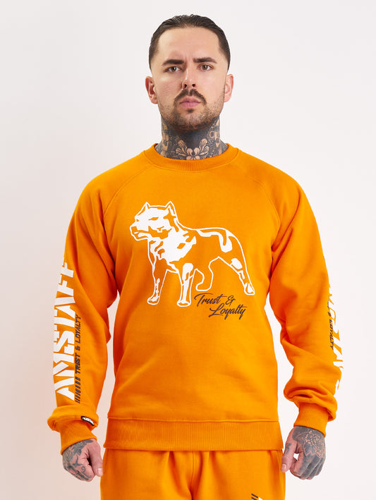 Amstaff Logo 2.0 Sweatshirt Orange