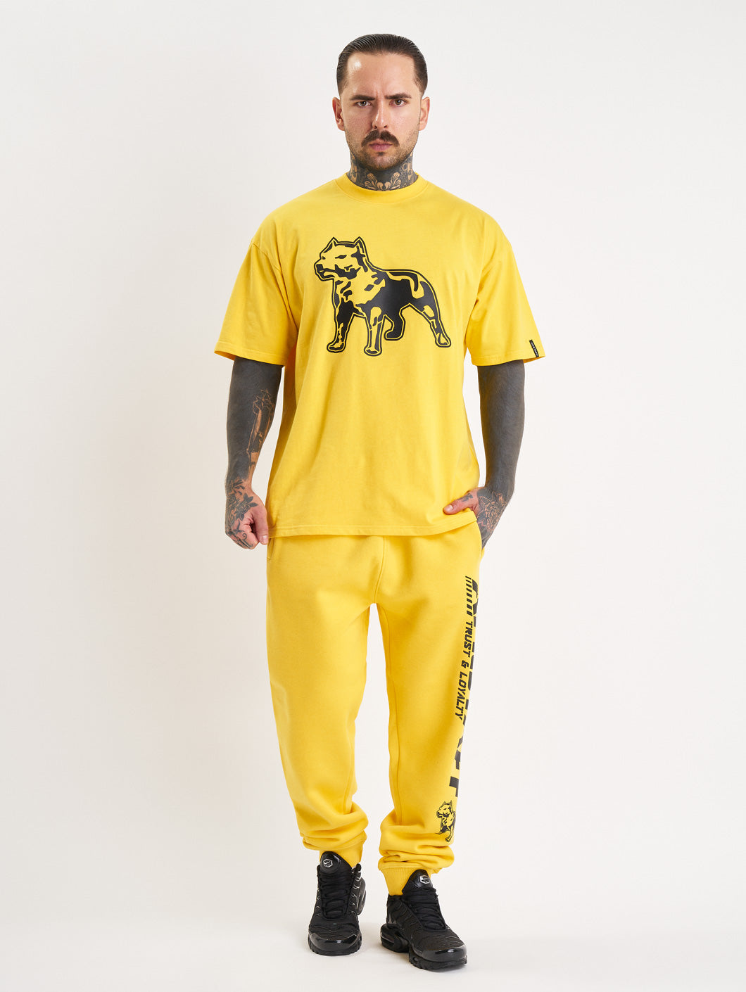 Amstaff Logo 2.0 T-Shirt Yellow Black
