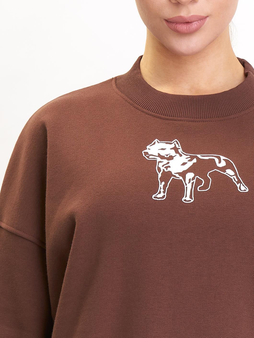 Amstaff Woman Basic Oversize Sweatshirt Brown